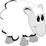 Sheep 05