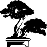 Bonsai Tree