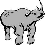 Rhino 03