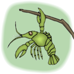 Lobster 15