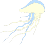 Jellyfish 03