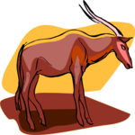 Antelope 06