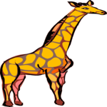 Giraffe 11