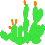 Cactus 33