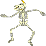 Skeleton 10