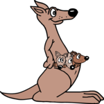 Kangaroo Family