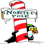 Penguin at North Pole