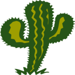 Cactus 29