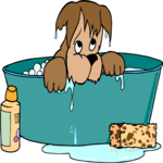 Dog Bathing 4