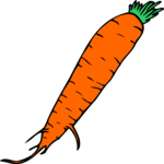 Carrot 26