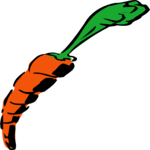 Carrot 12