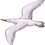 Seagull 15