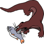 Otter with Fish 2