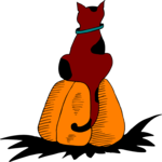 Cat on Pumpkin 2