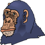 Chimp 06