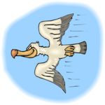 Pelican Flying 