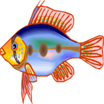 Cichlid - Dwarf 6