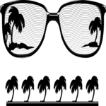 Sunglasses & Palm Trees