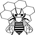 Bee 03