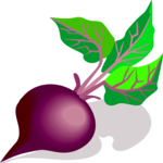 Beet 6