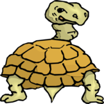 Tortoise - Rear