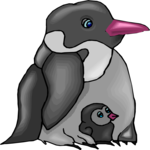Penguin & Chick