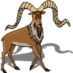 Antelope 37