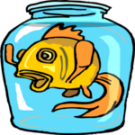 Fish in Jar 2