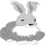 Rabbit 03