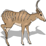 Antelope 27