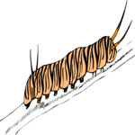 Caterpillar 9