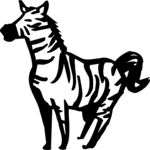 Zebra 03
