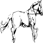 Horse 2