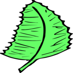 Leaf 069