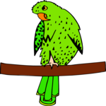 Parrot 10