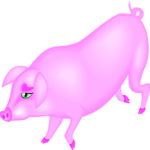 Pig 19