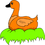Duck 68