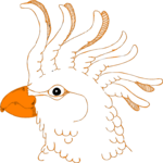 Cockatoo 10