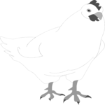 Chicken 04