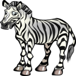 Zebra 09