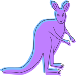 Kangaroo 19