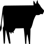 Cow 3