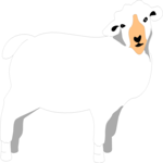 Sheep 03
