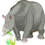 Rhinoceratoidea