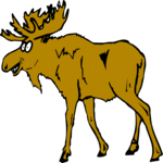 Moose 3