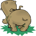 Hippo - Rear