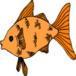 Goldfish 19