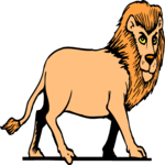 Lion 09