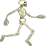 Skeleton 20