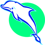 Dolphin 10